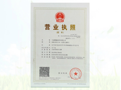 公司营业执照